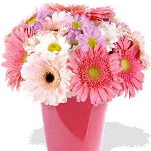 15pcs Mixed Gerbera and Chrysanthemum Vase Bouquet