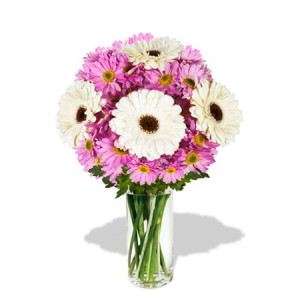 YYC Flowers 8pcs Gerberas and Chrysanthemum Vase Bouquet