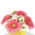Mixed Chrysanthemum and Gerbera Bouquet