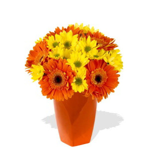 Direct Import YYC Flowers 10 Gerberas and Chrysanthemum Vase Bouquet