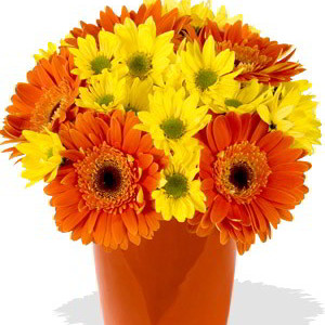 Direct Import YYC Flowers 10 Gerberas and Chrysanthemum Vase Bouquet