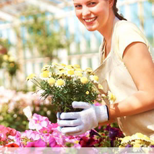 Florists Choice Mixed Bouquet 
