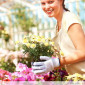 Florists Choice Mixed Bouquet $60