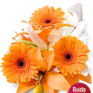 Asiatic and Gerbera Bouquet