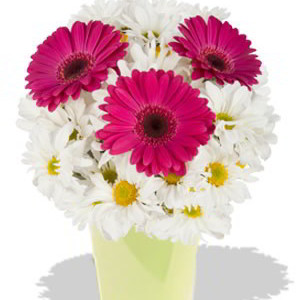 Gerbera and Chrysanthemum Bouquet