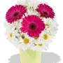 Gerbera and Chrysanthemum Bouquet