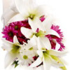 YYC Flowers Chrysanthemum Asiatic Bouquet