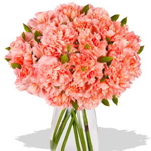 Carnation Bouquet