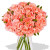 Carnation Bouquet