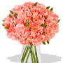 Carnation Bouquet
