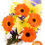 Mixed Bouquet , gerbera, lily and orchid
