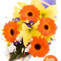 Mixed Bouquet , gerbera, lily and orchid