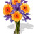 Gerbera and Iris Bouquet