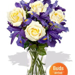 Roses and Iris Vase Bouquet