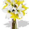 YYC Flowers Asiatic Lily Bouquet Vase 4pcs