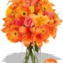 Asiatic, Gerbera and Rose Bouquet