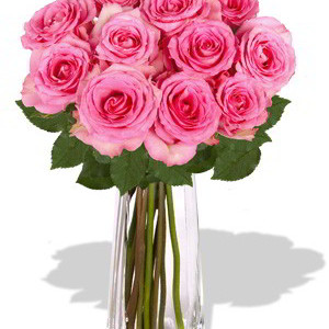 12 Maria Pink Rose Vase Bouquet