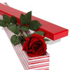 Single Rose in Box