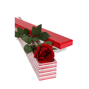 Single Rose in Box