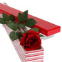 One Rose in Box