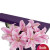 4 Oriental Lilies Presentation Box