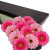 12 Gerberas Presentation Box