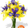 YYC Flowers Asiatic Lily and Iris Bouquet Vase Version