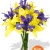 Asiatic Lily and Iris Bouquet Vase Bouquet