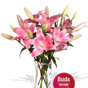 5 Asiatic Lily Bouquet