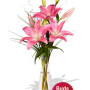 2 Asiatic Lily Vase Bouquet