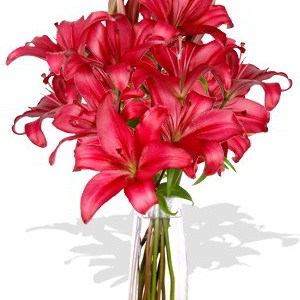4 Pink Asiatic Lily Vase Bouquet