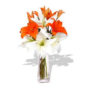YYC Flowers Asiatic Lily Bouquet 4-stem Orange and White