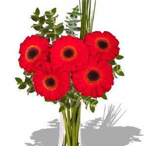 Small Gerbera Bouquet