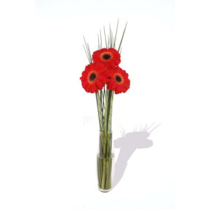 Calgary Flowers Small Gerbera Vase Posy