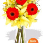 Asiatic and Gerbera Bouquet