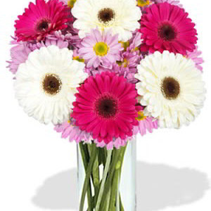 Gerbera and Chrysanthemum Bouquet
