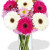 Gerbera and Chrysanthemum Bouquet