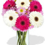 Gerbera and Chrysanthemum Bouquet