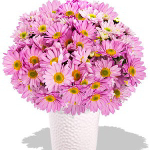 Chrysanthemum Bouquet