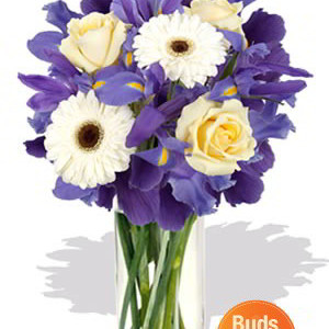 Mixed Bouquet ,2 Gerbera and 3 Rose Vase Bouquet