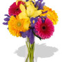 Mixed Bouquet , 4 Gerbera and 1 Lily Vase Bouquet