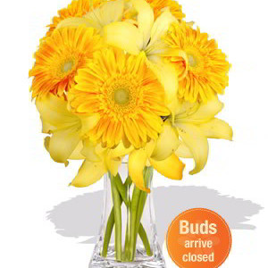 Gerbera and Asiatic Bouquet