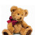 Medium Teddy Bear , 8 inches 