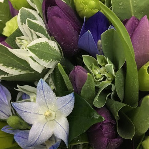 Holland Purple Tulips arrangement in Vase