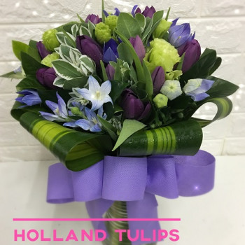 Holland Purple Tulips arrangement in Vase