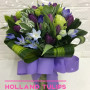 Holland Purple Tulips arrangement in Vase