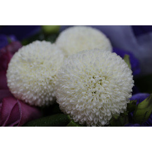 YYC Flowers Majestic Serenity Bouquet Purple White