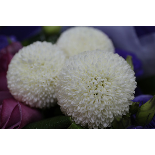 YYC Flowers Majestic Serenity Bouquet Purple White