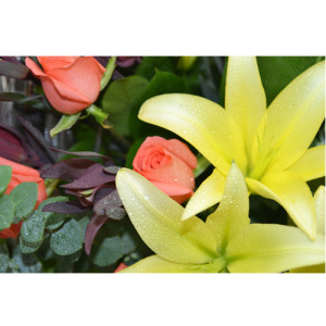 Elegant Flower & Seasonal Fruits Hamper with Pink Roses and Lilies | Calgary Gift