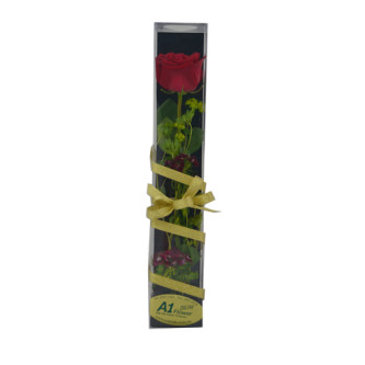 Single Rose Arrangement | Elegant One Rose Flower Gift in Calgary